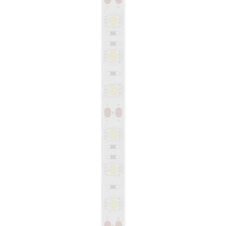 TIRA 5050 MACROLED BCO FRIO IP66 - DC12V - 14,4W - 60 LED, ROLLO 5 METROS