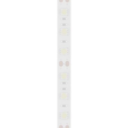 TIRA 5050 MACROLED BCO FRIO IP66 - DC24V - 14,4W - 60 LED, ROLLO 5 METROS