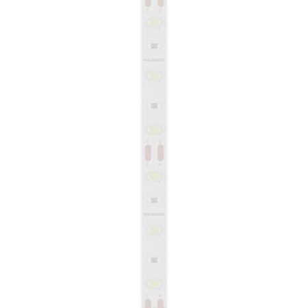 TIRA 2835 MACROLED BCO FRIO IP66 - DC12V - 12W - 60 LED, ROLLO 5 METROS